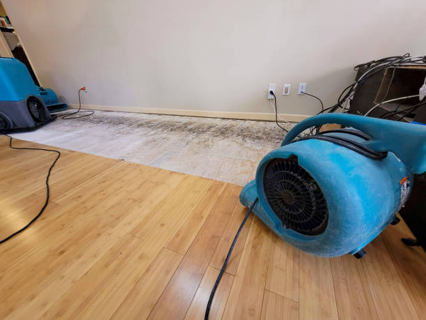 Professional Emergency Water Damage technician working in Campton, NH